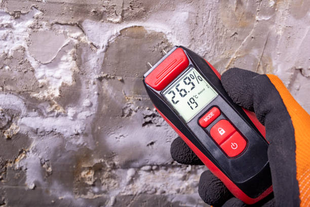 Best Mold Testing  in , WY