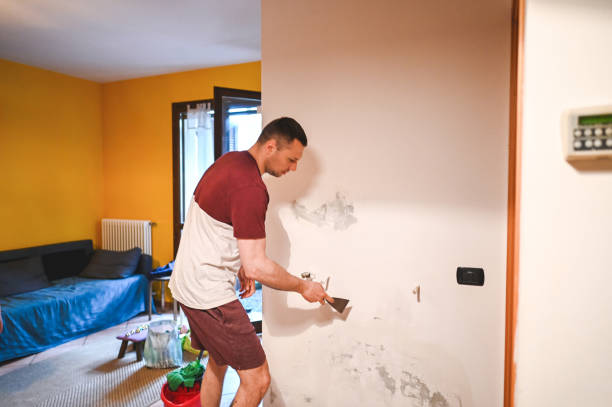 Best Toxic Mold Removal  in , WY