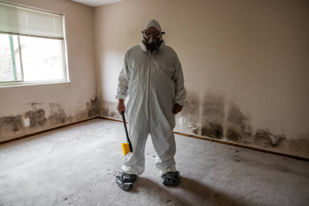 Best Mold Damage Repair  in , WY